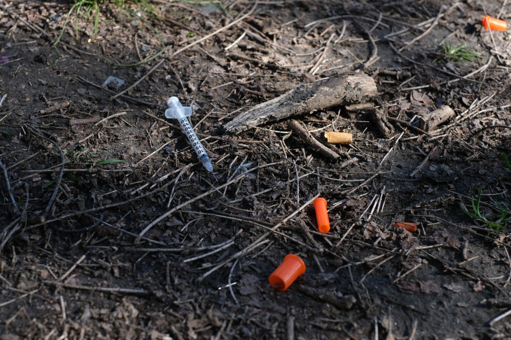 Embedded Deep in the Soil: The Fight for St. Mary’s Park